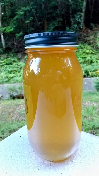 はちみつ 2kg 国産 天然 純粋 非加熱 無添加 蜂蜜 2000g 2025年採蜜 【養蜂家直送】