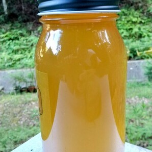 はちみつ 3kg 国産 天然 純粋 非加熱 無添加 蜂蜜 3000g 2025年採蜜 6月新蜜【養蜂家直送】