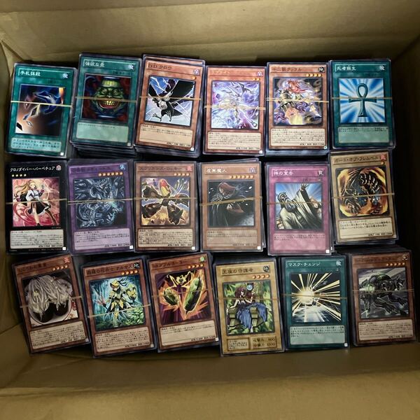 遊戯王 大量 まとめ売り 10000枚 b
