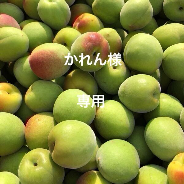 紀州南高梅 秀品 3Lサイズ 3kg