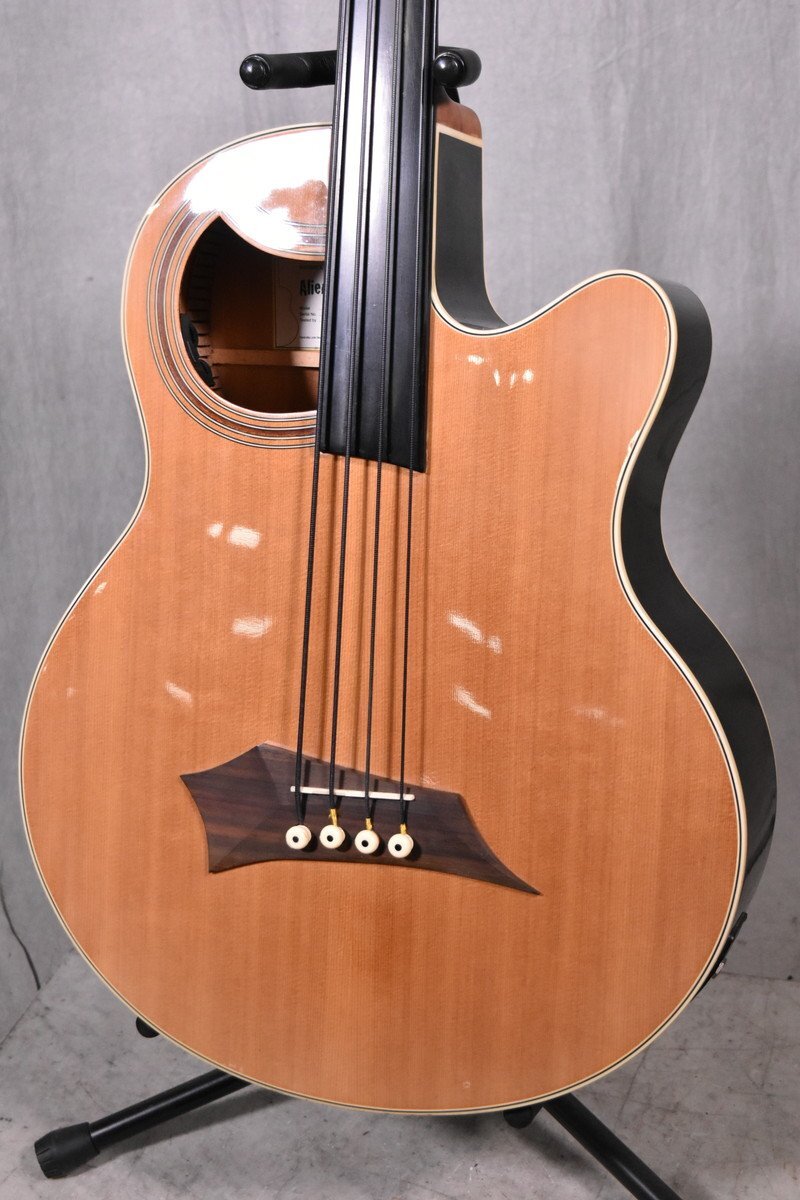 Yahoo!オークション -「アコースティックベース フレットレス