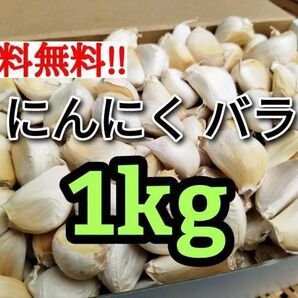 【送料無料】お買い得☆ 令和6年産 無農薬栽培 にんにく 1㎏ バラ ニンニク