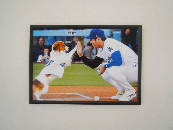 大谷翔平 デコピン 始球式 ハイタッチ 愛犬 Dodgers ポスター 写真 22cm×32cm サイズ A4 フォトフレーム
