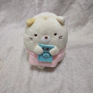 すみっコぐらし ねこ 夢のお仕事ぬいぐるみ 絵本を持った猫 本屋さん? ぬいぐるみマスコット