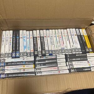 DS 3DS ケースのみ