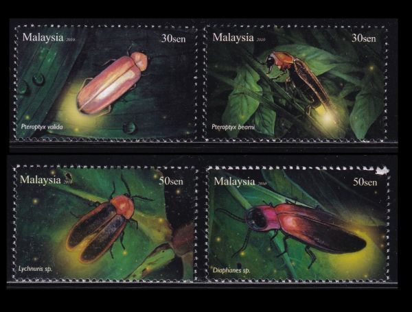 2025年最新】Yahoo!オークション -マレーシア 昆虫の中古品