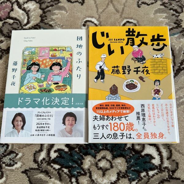 ★団地のふたり、じい散歩★藤野千夜★文庫2冊セット★