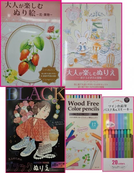 【送料無料 選べる 2点 大人のぬりえ,色鉛筆】★果物 うさぎ ブラック★初心者:心を安定:ストレス解消 認知症予防 脳トレ 塗り絵