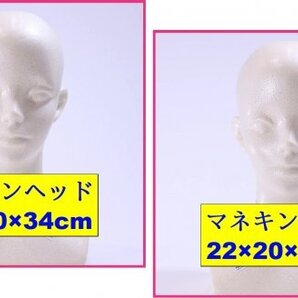 【送料無料:新品:2点 マネキン ヘッド】★22×20×34cm 日本製★モデル トルソー ウィッグ マネキン ヘッドトルソー ディスプレイ 頭 頭部