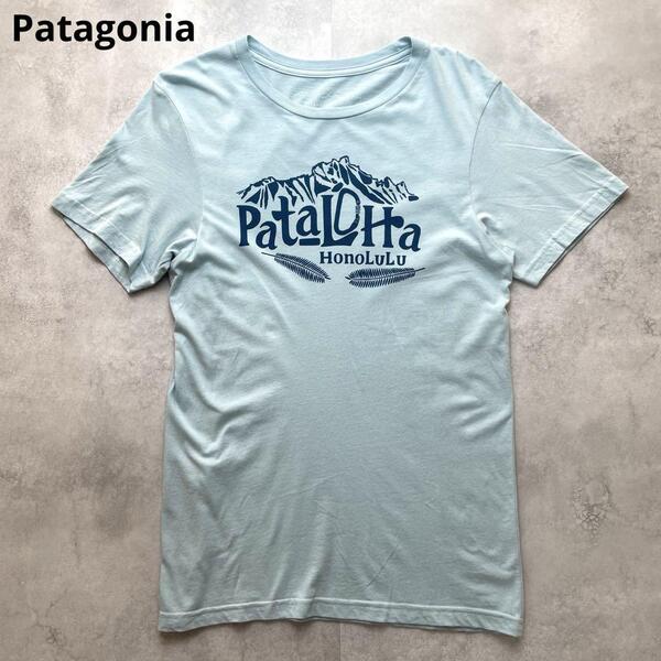 極美品 ハワイ限定 patagonia パタゴニア【欲しくなるパタロハロゴ】半袖Tシャツ 水色 オーガニックコットン メンズ(レディースも可))