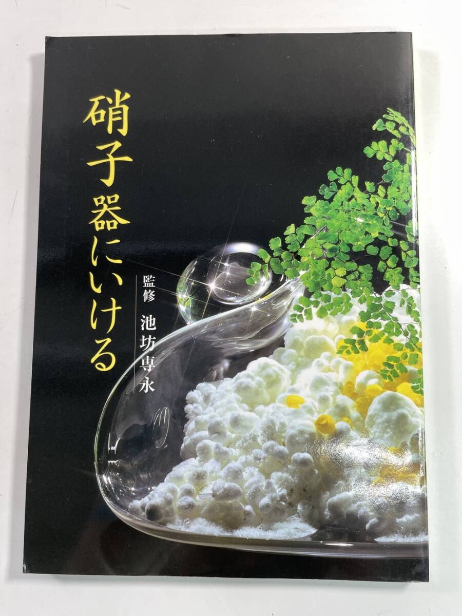 【中古】 竹器にいける/日本華道社/池坊専永 Yahoo!オークション -「池坊専永」の落札相場・落札価格