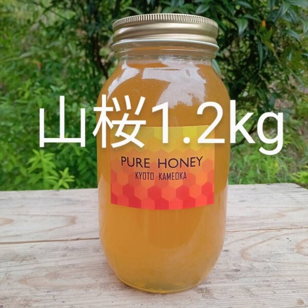 国産 純粋 蜂蜜 はちみつ 1.2kg