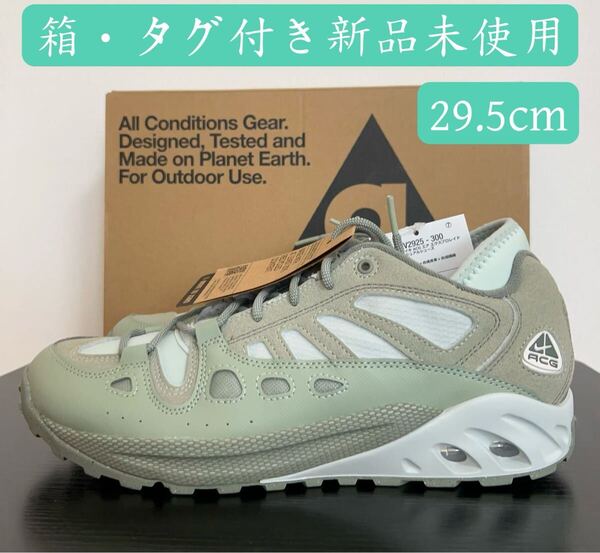 在庫残りセール NIKE ナイキ ACG エア エクスプロレイド メンズ シューズ スニーカー 靴 FV2925-300 29.5cm