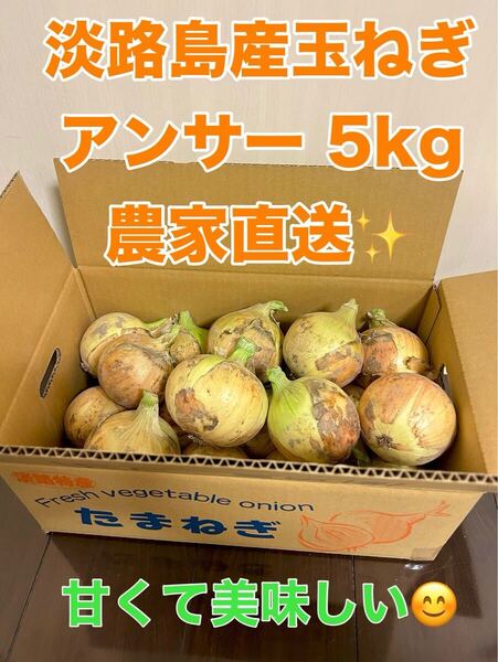 淡路島産熟成新玉ねぎアンサー中生5kg 農家直送