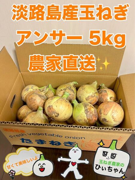 淡路島産熟成新玉ねぎアンサー中生5kg 農家直送