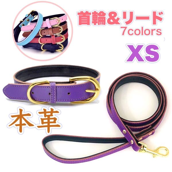 犬 首輪 リード セット 本革 おしゃれ 犬首輪 ゴールド 小型犬 XS 高級 パープル 紫 散歩 お出かけ お揃い おしゃれ かわいい