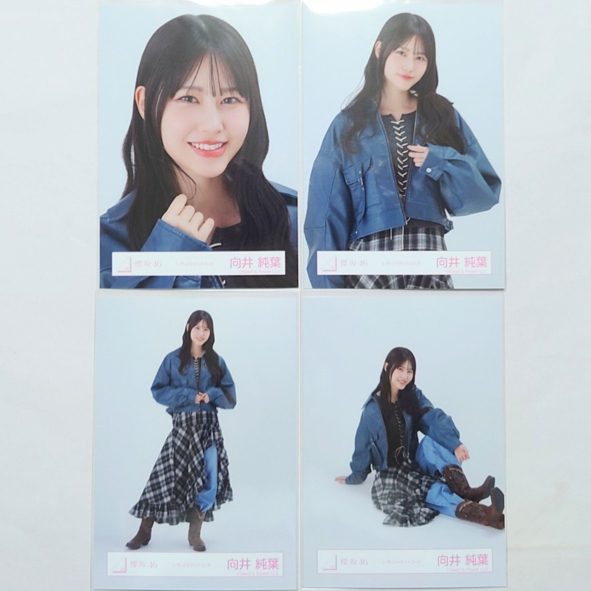 櫻坂46 向井純葉 生写真 デニムコーデ コンプ