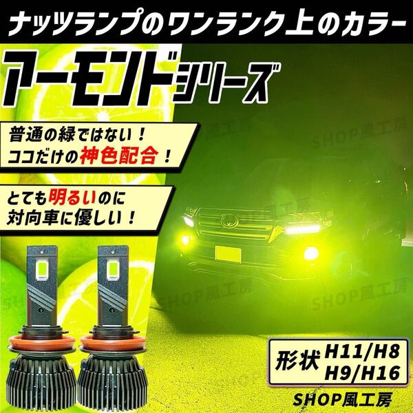 車 H11 H16 H8 H9 ライト フォグライト フォグランプ LED ライム グリーン NUTSLAMP ナッツランプ 緑