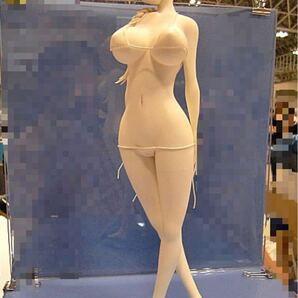 R17? 保科智子 2013 SUMMER ToHeart ワンフェス 2013夏 トゥハート ガレージキット レジンキャストキット S10648
