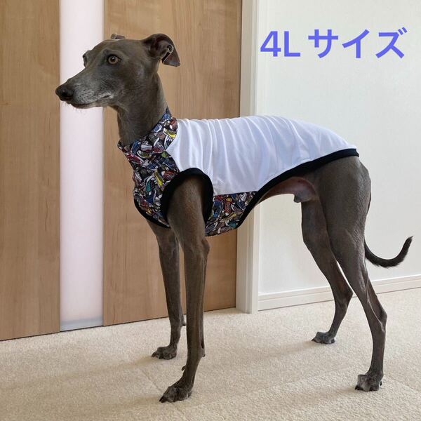 4Lサイズ イタグレ服 イタリアングレーハウンド 接触冷感 夏服 スニーカー柄