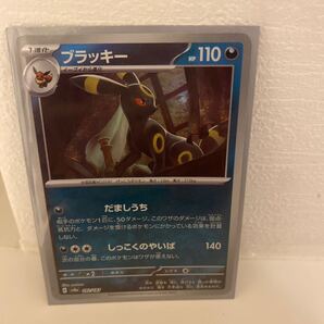 カテ変様専用 ブラッキー