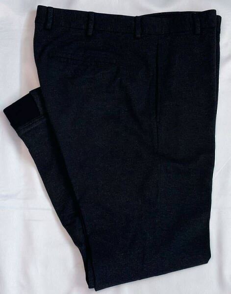 PT TORINO ピーティートリノ サイズ 48 M~L レーヨン ナイロン パンツ チャコールグレー系 EPSILON FIT スラックス