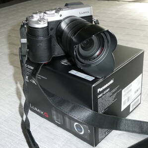LUMIX GX8 ミラーレス 14-140ズームレンズ付き 付属品すべて付
