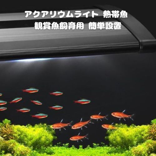 アクアライト 白+青 30~45cm対応 水槽用LED 45球 アクアリウム 熱帯魚 観賞魚飼育用 水草育成 簡単設置 格安 即納