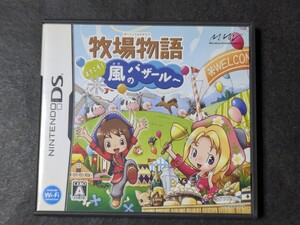 DS 牧場物語 ようこそ! 風のバザールへ
