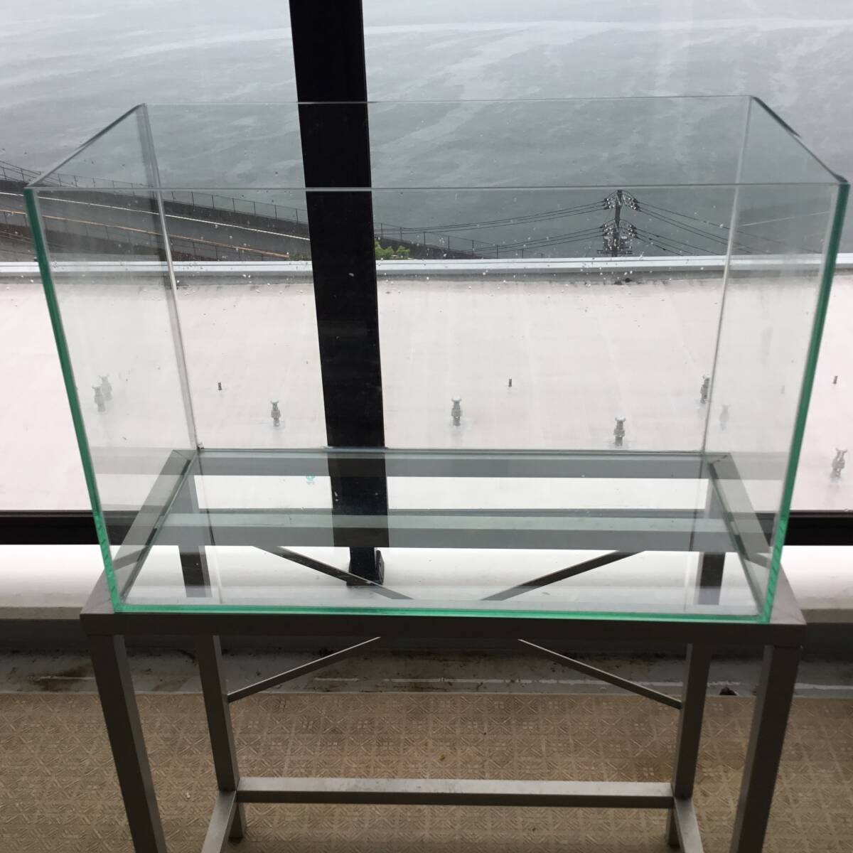 中古60cm湾曲ガラス水槽 2025年最新】Yahoo!オークション -曲げガラス 水槽 60cmの中古品