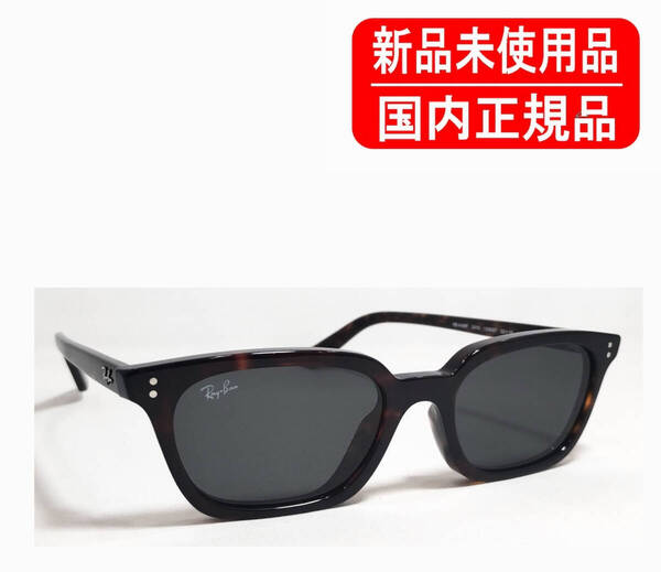 RB4456F 135987 52-19 国内正規品 Ray-Ban レイバン ZAYA BIO-BASED 証書付き