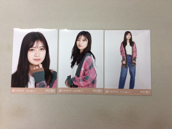 乃木坂46 寺田蘭世 生写真 10コンプ まとめ売り 元乃木坂46 寺田蘭世 生写真まとめ売り - メルカリ