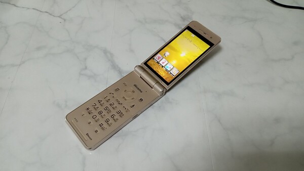 K4147 docomo FOMA P-01G Panasonic/パナソニック/ケータイ/ 簡易動作確認&簡易清掃&初期化OK 判定○ 現状品 送料無料