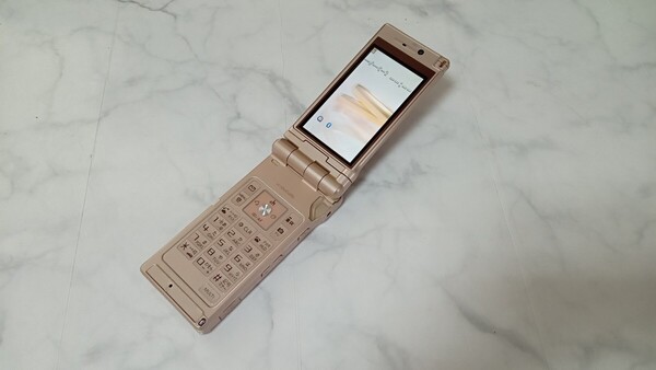 K4157 docomo FOMA P905i Panasonic/パナソニック/ケータイ/ 簡易動作確認&簡易清掃&初期化OK 判定○ 現状品 送料無料