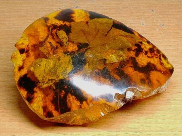 【虫入り】◆101g◆ 琥珀 アンバー 化石 原石 鑑賞石 自然石 天然石 鉱石 鉱物 水石 宝石 ジュエリー 置物 インテリア
