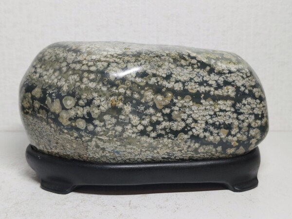 【津軽産】◆1.8kg◆ 錦石 花紋石 赤石 原石 鑑賞石 自然石 天然石 紋石 水石 鉱物 置物