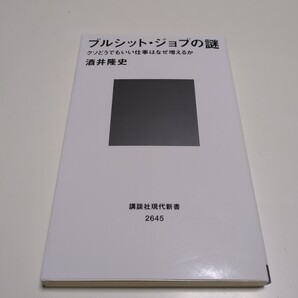 ブルシット・ジョブの謎 クソどうでもいい仕事はなぜ増えるか 酒井隆史 講談社現代新書 中古 01101F135