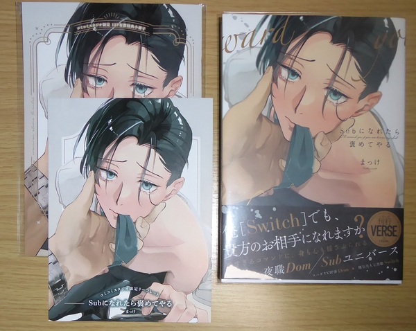 送料込//「Subになれたら褒めてやる/コミコミスタジオ限定特典12P小冊子+4Pリーフレット付」まっけ