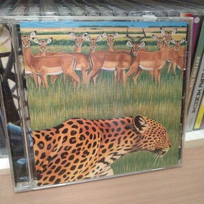zoo/Fantastic Plastic Machine FPM ファンタスティックプラスティックマシン