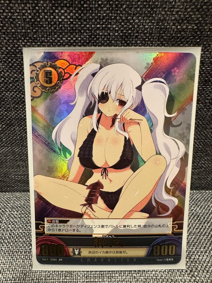 閃乱カグラ アンリミテッドヴァーサス 非売品 ポスター まとめ売り 16枚セット 2025年最新】アンリミテッドヴァーサス 閃乱カグラの人気