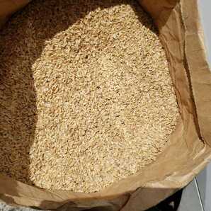 送料無料 籾殻 もみがら