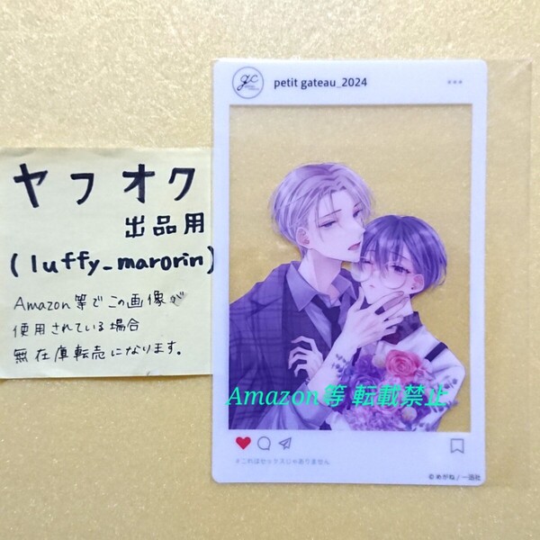 petit gateau展 2024 SNS風クリアカード めがね gateau magazine 10th Anniversary ガトー展 10周年 カード これはセックスじゃありません