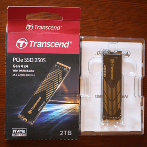 トランセンド 2TB SSD M.2(2280) NVMe PCIe Gen4×4 【PS5動作確認済み】TS2TMTE250S 使用時間短