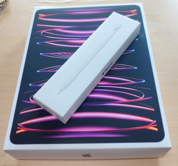 【純正ペン付】iPad Pro 12.9インチ 第6世代 m2 Wi-Fi 128GB スペースグレイ バッテリー99%