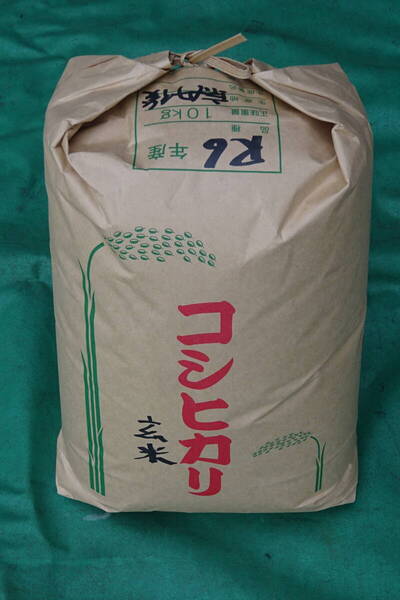コシヒカリ 玄米20kg 新米 R6年産 京丹後産 (無料で精米可) 我が家で生産 送料無料