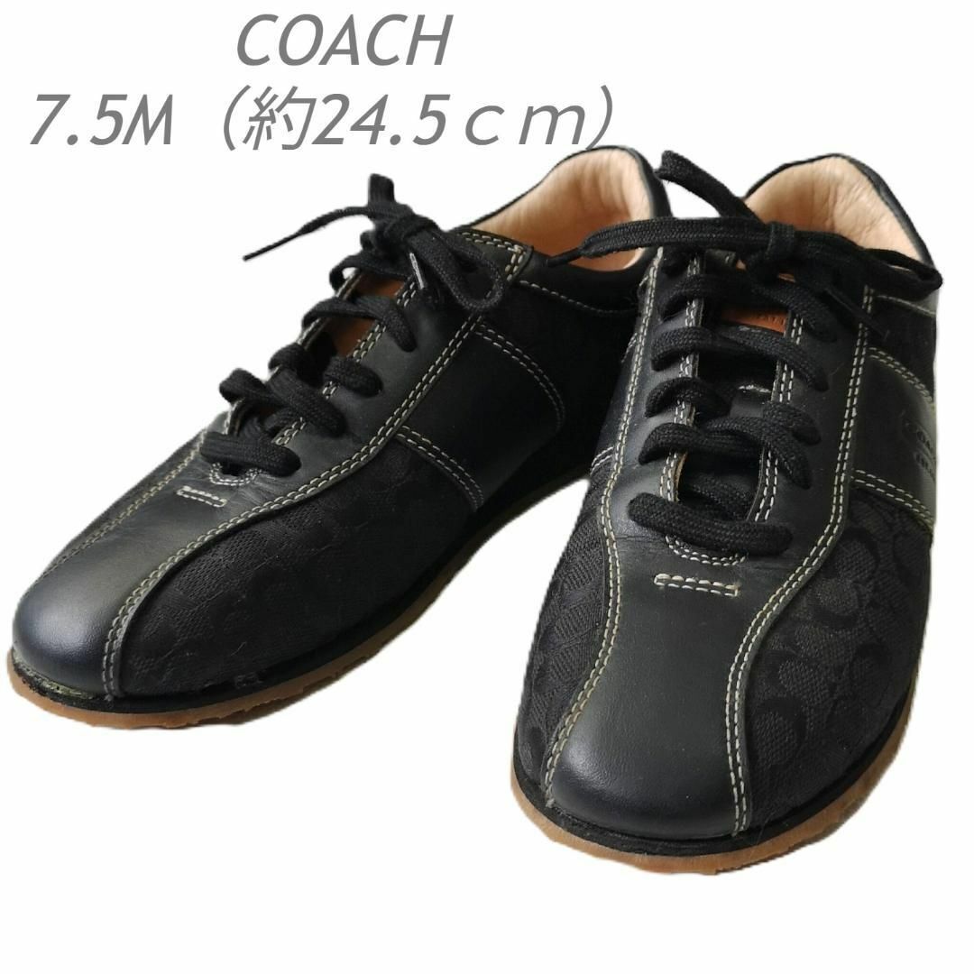 【新品未使用】コーチ　スニーカー　シグネチャー　24.5 COACH サイズ8 コーチ シグネチャー スニーカー SAWAKO KAGEYAMA COACH - メルカリ