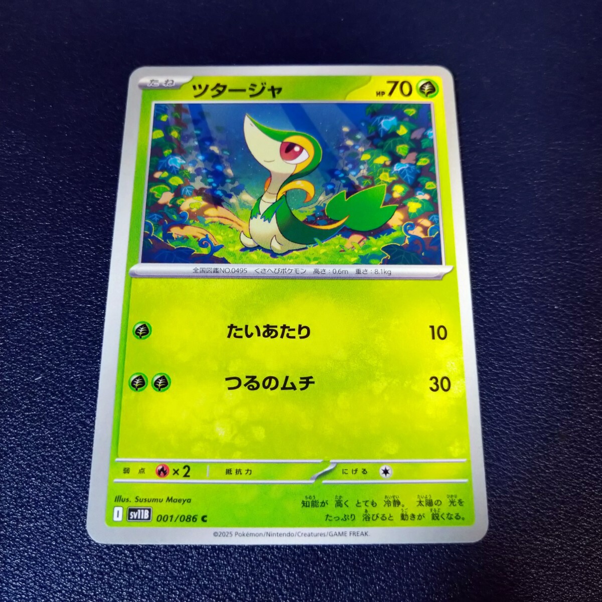 ブラックボルト ツタージャ ar 10枚セット まとめ売り a354 Yahoo!オークション -「ポケモンカード ツタージャ」(ゲーム) の