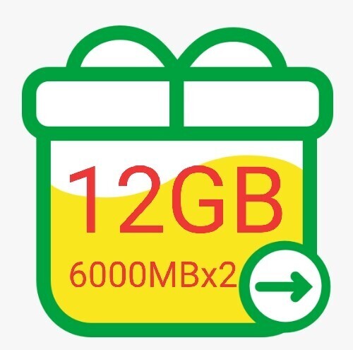 mineo パケットギフト 約12GB コード通知 マイネオ t1