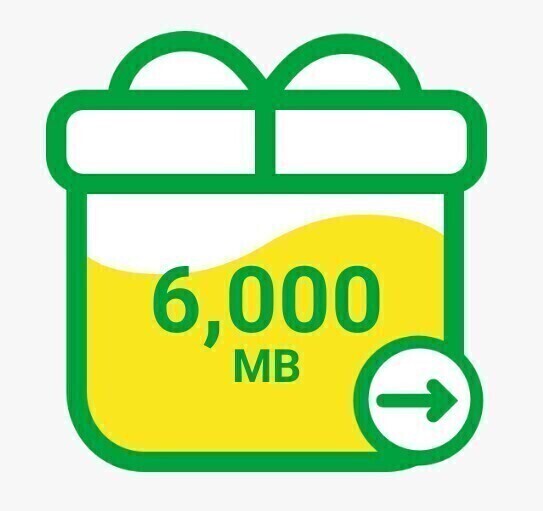 mineo パケットギフト 約6GB コード通知 マイネオ t10