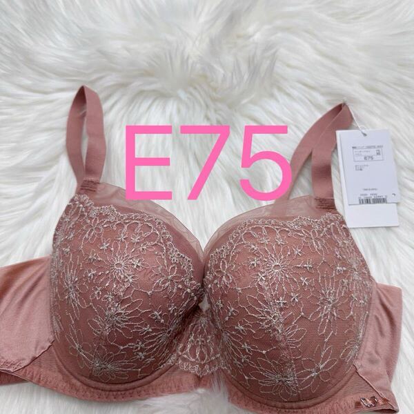 トリンプ 天使のブラ 30周年限定デザイン619 ブラジャー ブラウン E75